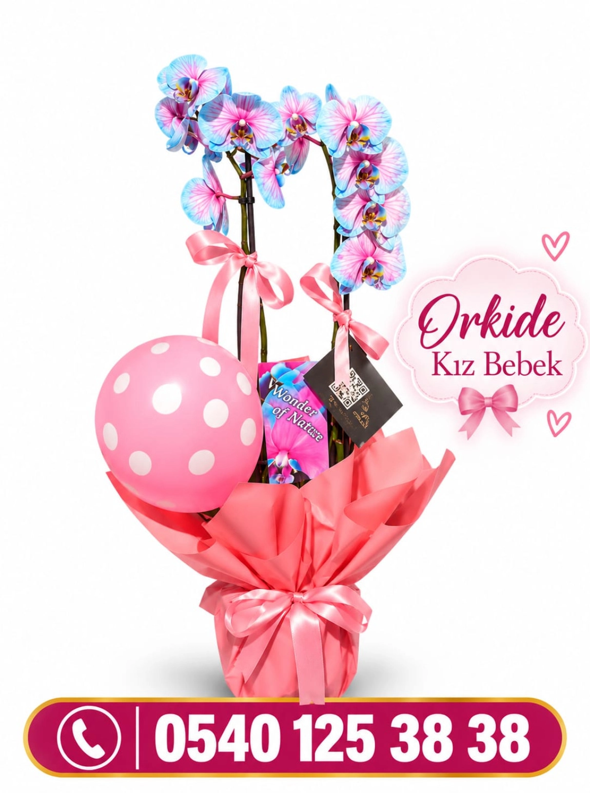 Orkide Kız Bebek