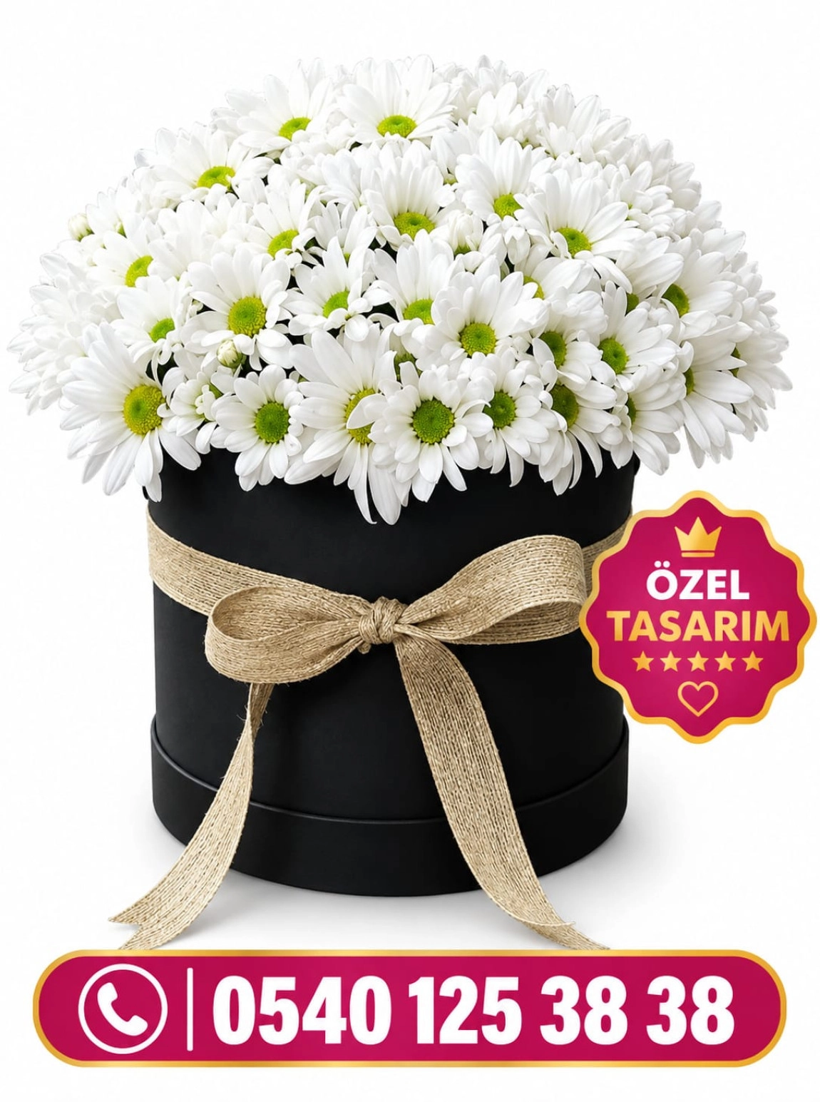 Papatya Kutu Özel