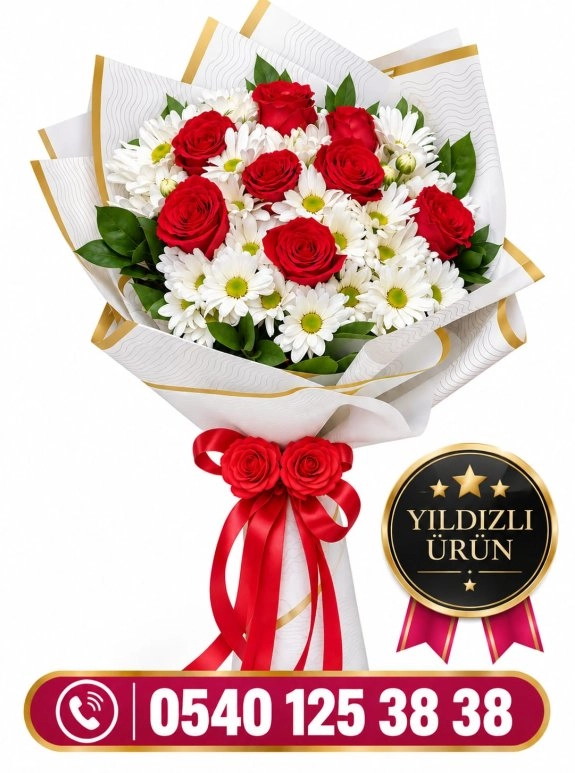 Güllü Papatya