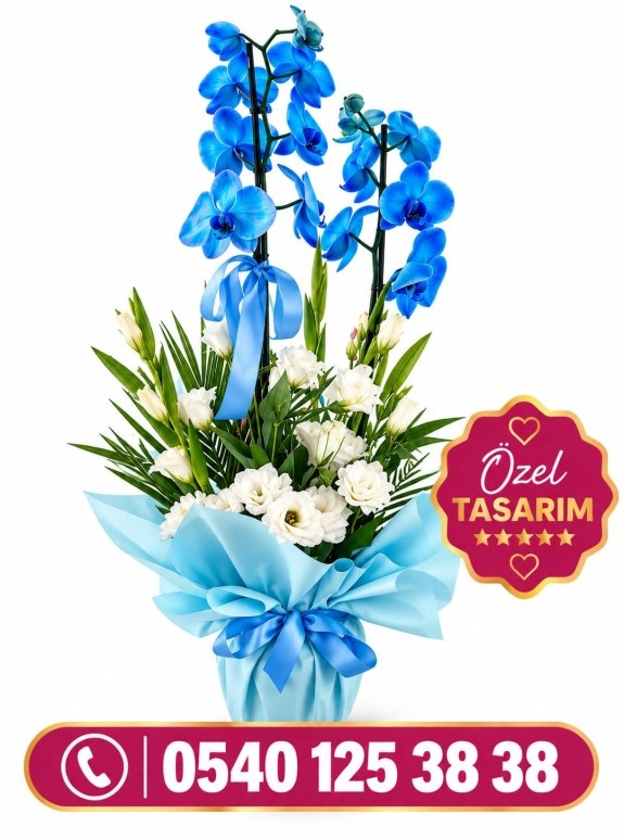 Mavi Orkide Süslü