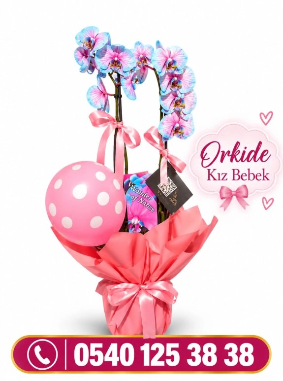 Orkide Kız Bebek