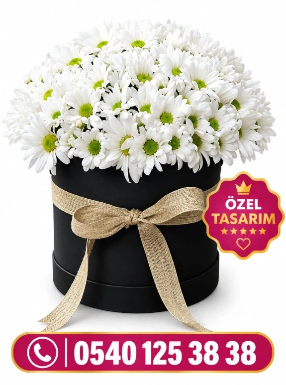 Papatya Kutu Özel